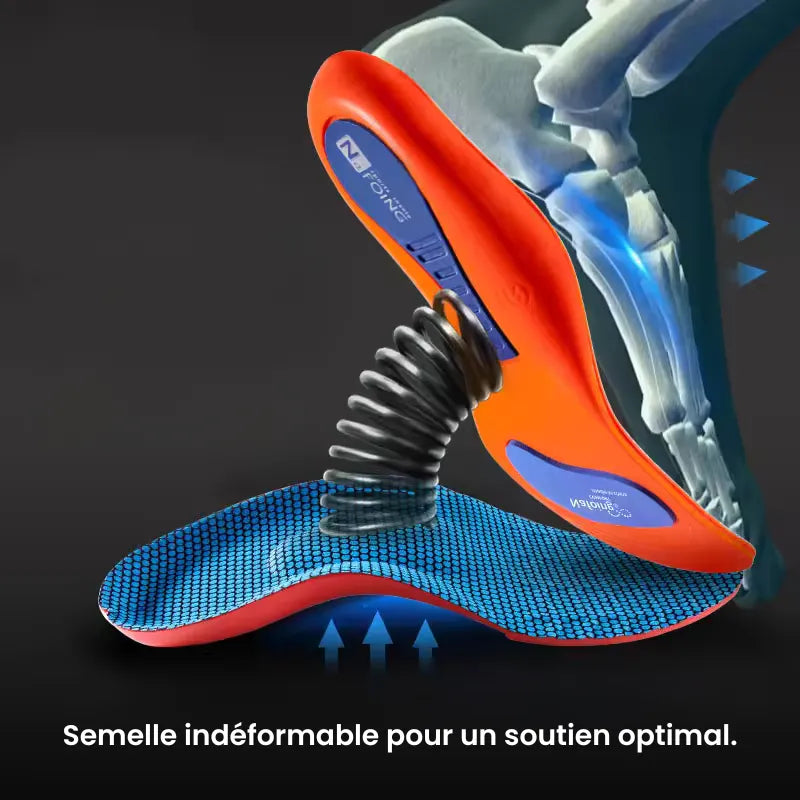 FONTAINE | Ensemble de semelles de soutien Ergonomique